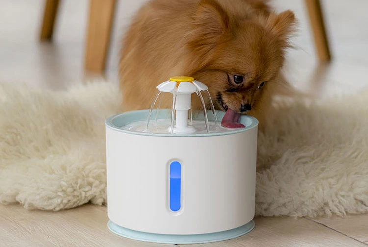 Dog Filter Cat Water Fountain Drinking Water Dispenser Stainless Steel Pet Water Fountain