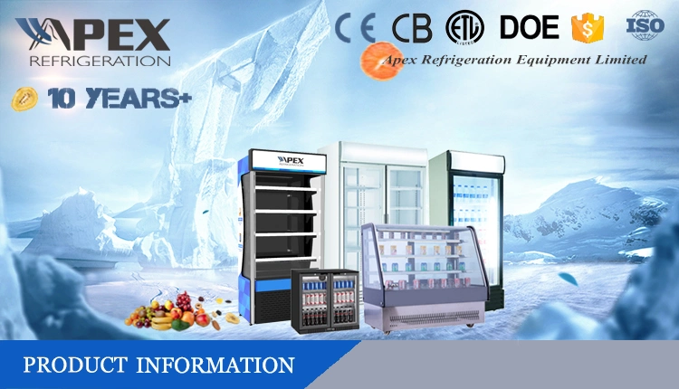 Commercial Hinged Double Door Bottle Display Cooler Fridge Chiller Beer Wine Chiller Refrigerator