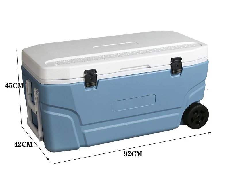 Hochey Medical Car Refrigerator Vaccine Carriers Portable Storage Freezers Price