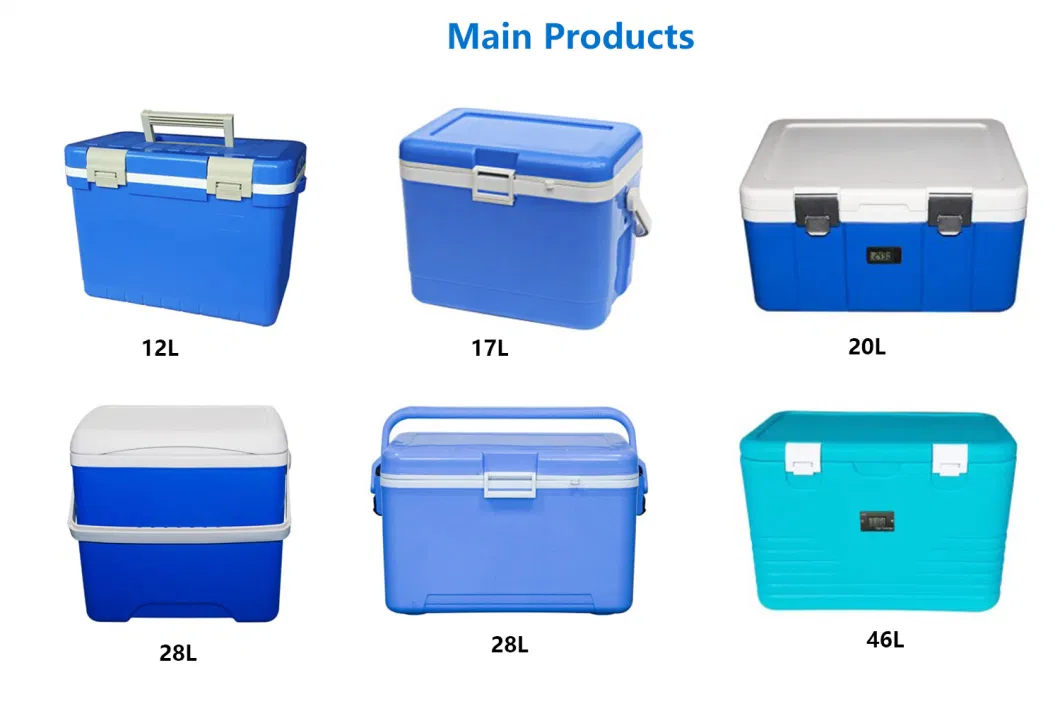 Plastic Cooler Box and Plastic Icebox for Fresh Food