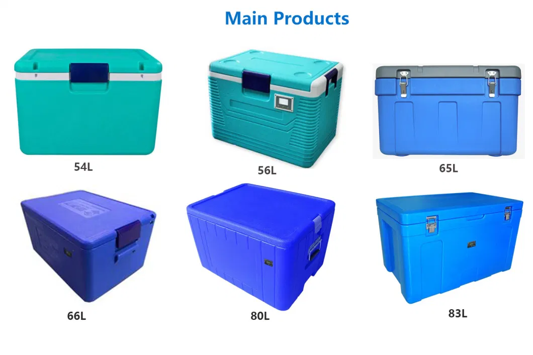 Plastic Cooler Box and Plastic Icebox for Fresh Food