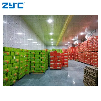 Zyc Diseño Personalizado Cámara Frigorífica de Almacenamiento en Frío con Congelador de Paso Rápido para Refrigeración en Procesamiento de Alimentos, Granjas y Almacenes.