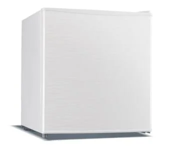 48L Mini nevera de una puerta Mini Bar nevera puerta espumosos