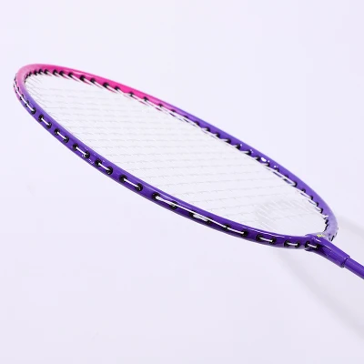 Fuaile Deportes Mayoristas Hierro aleación Badminton Racket Amateur Racquet OEM Logotipo personalizado