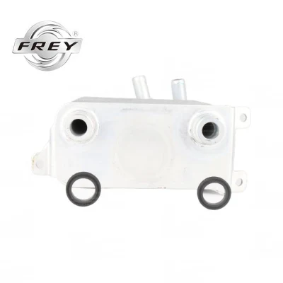 Frey Auto Enfriador de aceite del motor BMW para N46 N52 N53 E65 E66 E60 E61 OE 17117534896