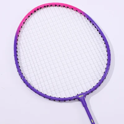 Fuaile Deportes Mayoristas Hierro aleación Badminton Racket Amateur Racquet OEM Logotipo personalizado