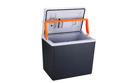 Refrigerador 12V 24V Boat Re RV Van refrigerador móvil a prueba de golpes Coche nevera SUV Congelador para Camping Hot Sale