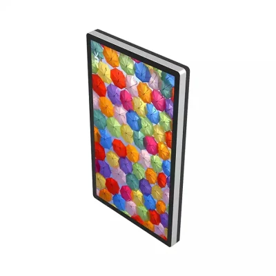  43pulgadas LCD montado en la pared exterior de la publicidad de la pared del Monitor de pantalla