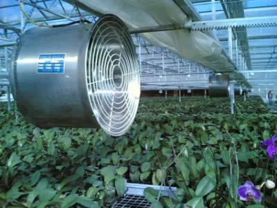 Acero inoxidable el ventilador de circulación la circulación de efecto invernadero circulador de aire del ventilador