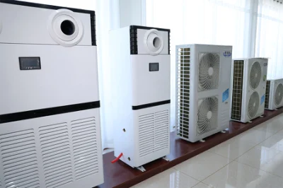 Inversor DC Congelador Unidad interior de Aire acondicionado congelado semiacabado Equipo máquina