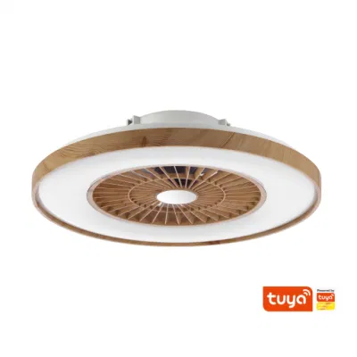 Electrodomésticos nuevos Tuya Smart motor reversible Ventilador de techo colgantes de escape con LED de luz de noche