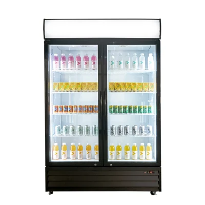  Doble puerta con bisagras comerciales Enfriador de la pantalla de la botella de cerveza de enfriadores enfriadores de vino de NEVERA REFRIGERADOR