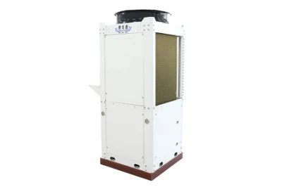 Inversor DC Congelador Unidad interior de Aire acondicionado congelado semiacabado Equipo máquina