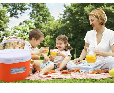 Coche nevera Mini refrigerador refrigerador Caja de almacenamiento de contenedores más cálidos, coche de alquiler de Furgoneta Camión congelador Home Alquiler de caja del refrigerador Refrigerador de doble uso