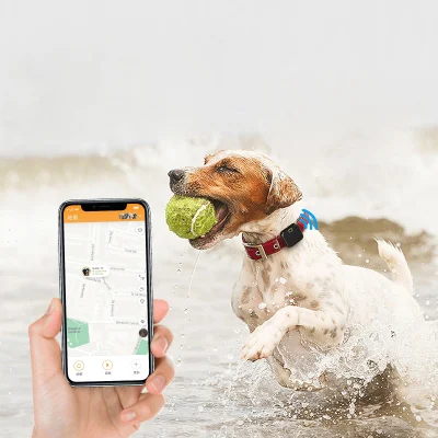 5g de larga distancia impermeable desmontable de Baja Potencia Smart Mini Seguimiento Tracker GPS Tracker Collar de perro de mascota
