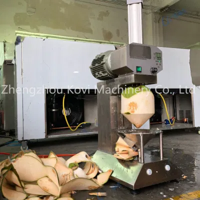 Máquina de peeling de coco totalmente automática Comercial máquina de triturar de coco