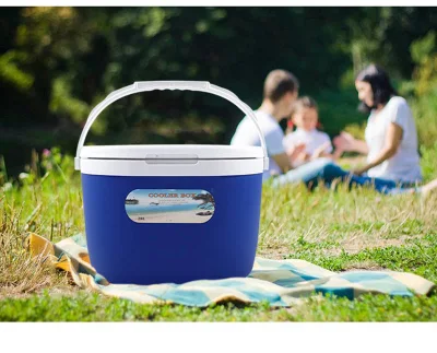 Coche nevera Mini refrigerador refrigerador Caja de almacenamiento de contenedores más cálidos, coche de alquiler de Furgoneta Camión congelador Home Alquiler de caja del refrigerador Refrigerador de doble uso