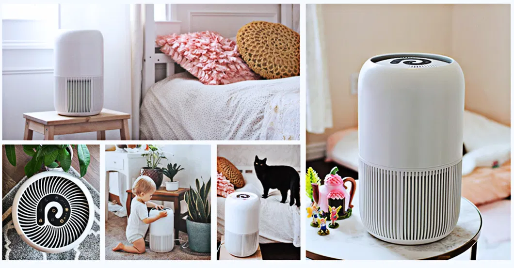 2022 Mei Awarded Sliver Award Winners Household Home Portable Ture HEPA Filter Air Purifier with Child Lock Sleep Mode for Pollen/Pet