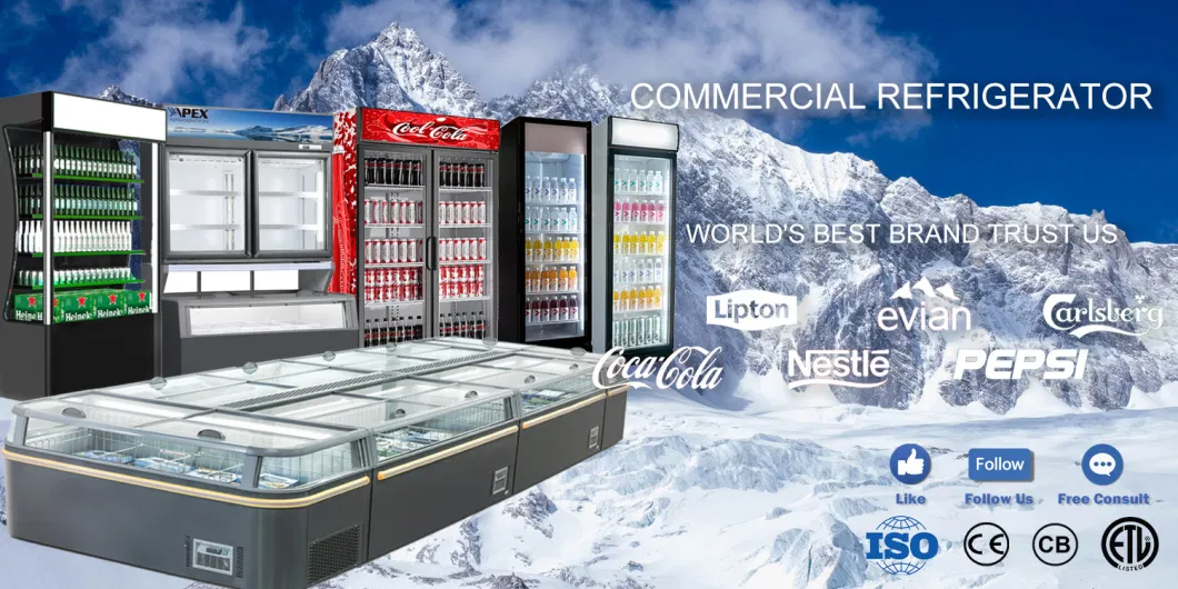 Apex Commercial Upright Double Glass Doors Cold Coke Display Fridge