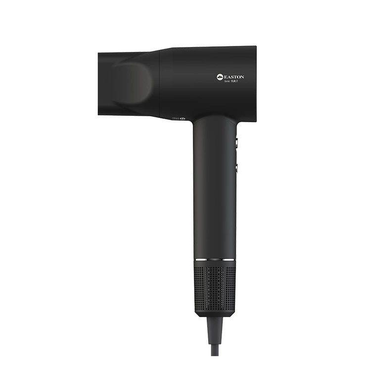 Professional Quiet Enough 1600W Super Hair Dryer for Hotel