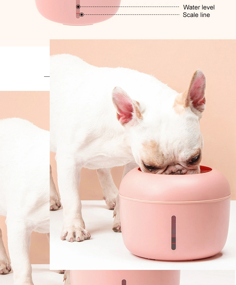 Wholesale Smart Pet Product 2.5L Electric Automatic Pet Feeder with Filter