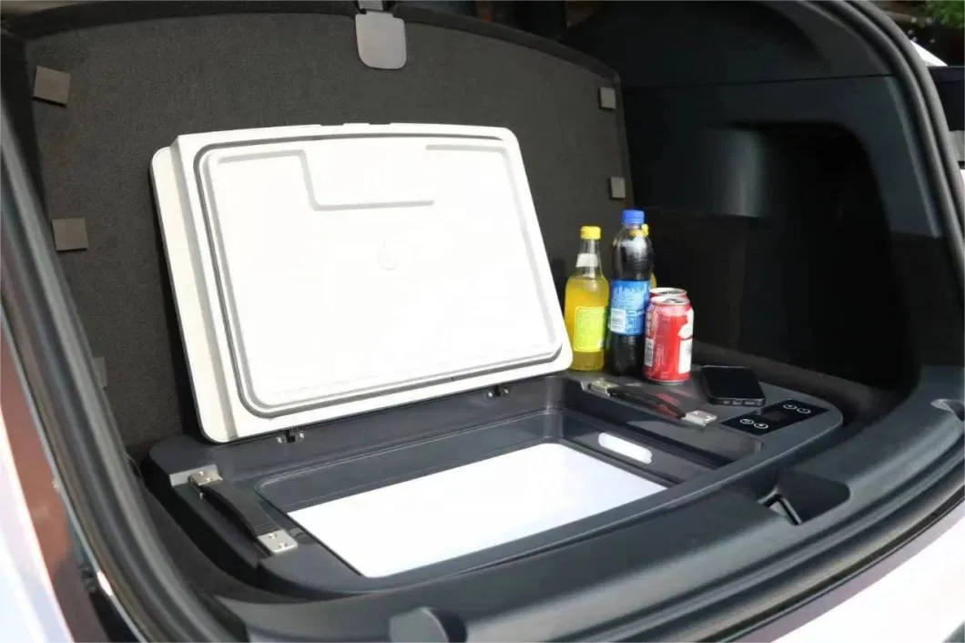 35L Portable Home Refrigerator Outdoor Mini Car DC Deep Freezer