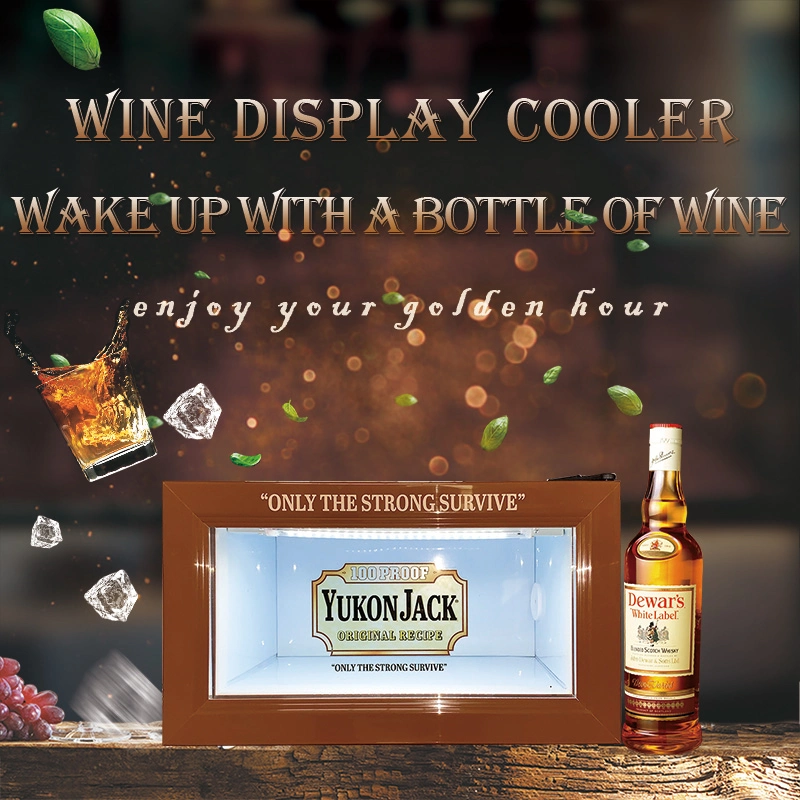 18L Customized Bottle Wine Beverage Whisky Electric Display Cooler Sc-18