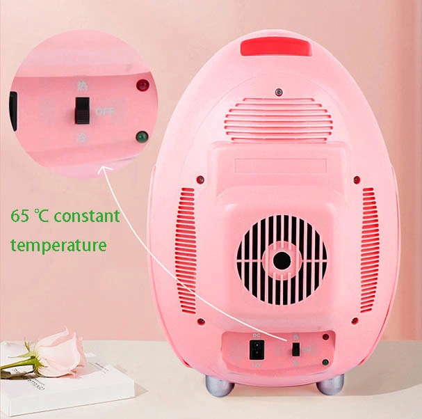 8L Portable Goodlook Popular Beauty Makeup Cosmetic Refrigerator with Heater