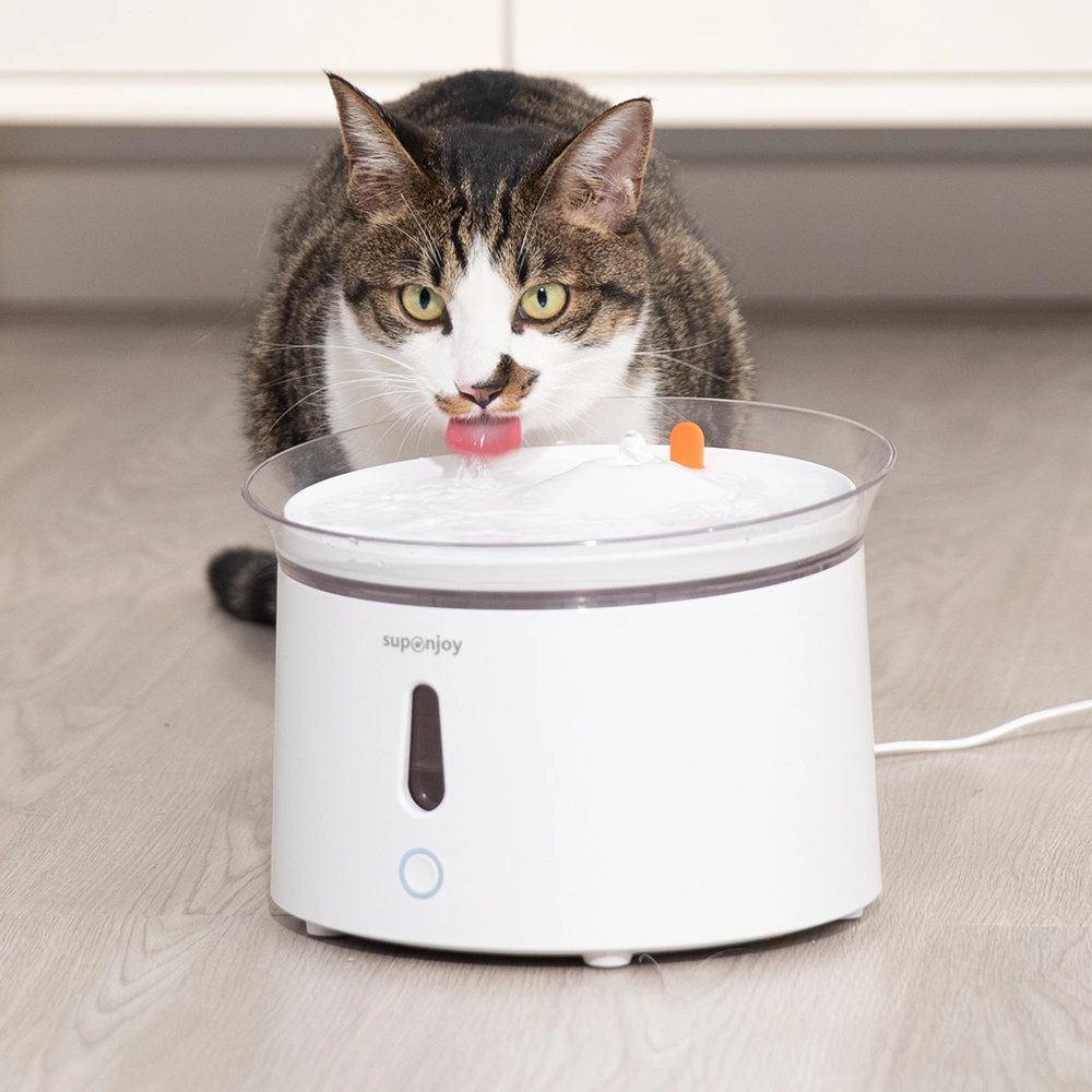 Simple Portable Food Water Drink Dispenser Automatic Pet Feeder