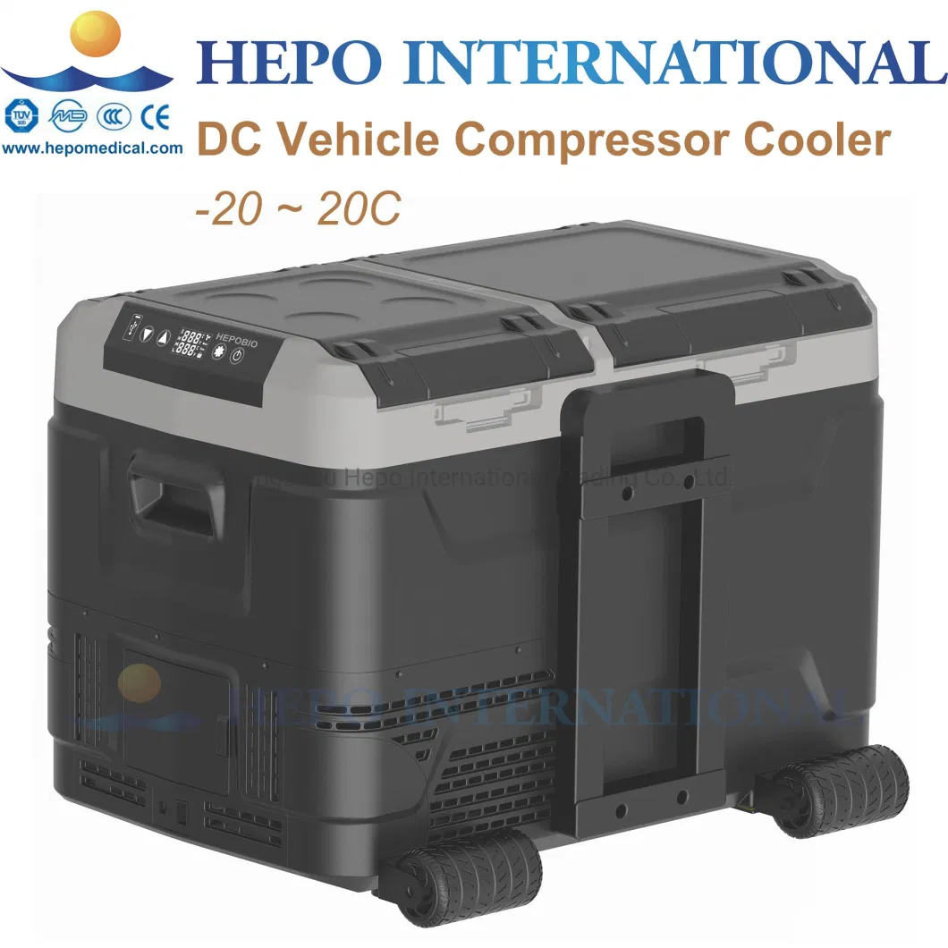 China Popular Medical DC Motor Compressor Car Cooler Box