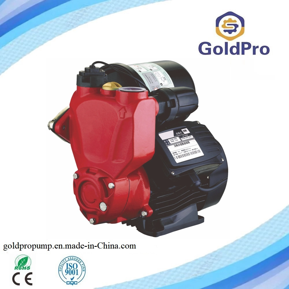 Zsb60 Domestic Use Electric Automatic Peripheral Pump
