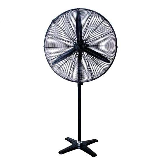 24 Inch 600mm Industrial Floor Drum Fan