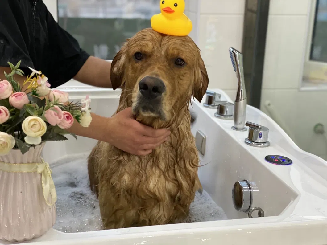 High Quality Dog Bath Pet Grooming Tub Dog Wash Tub