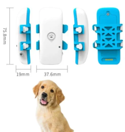 Pet GPS Tracker Real-Time Tracking