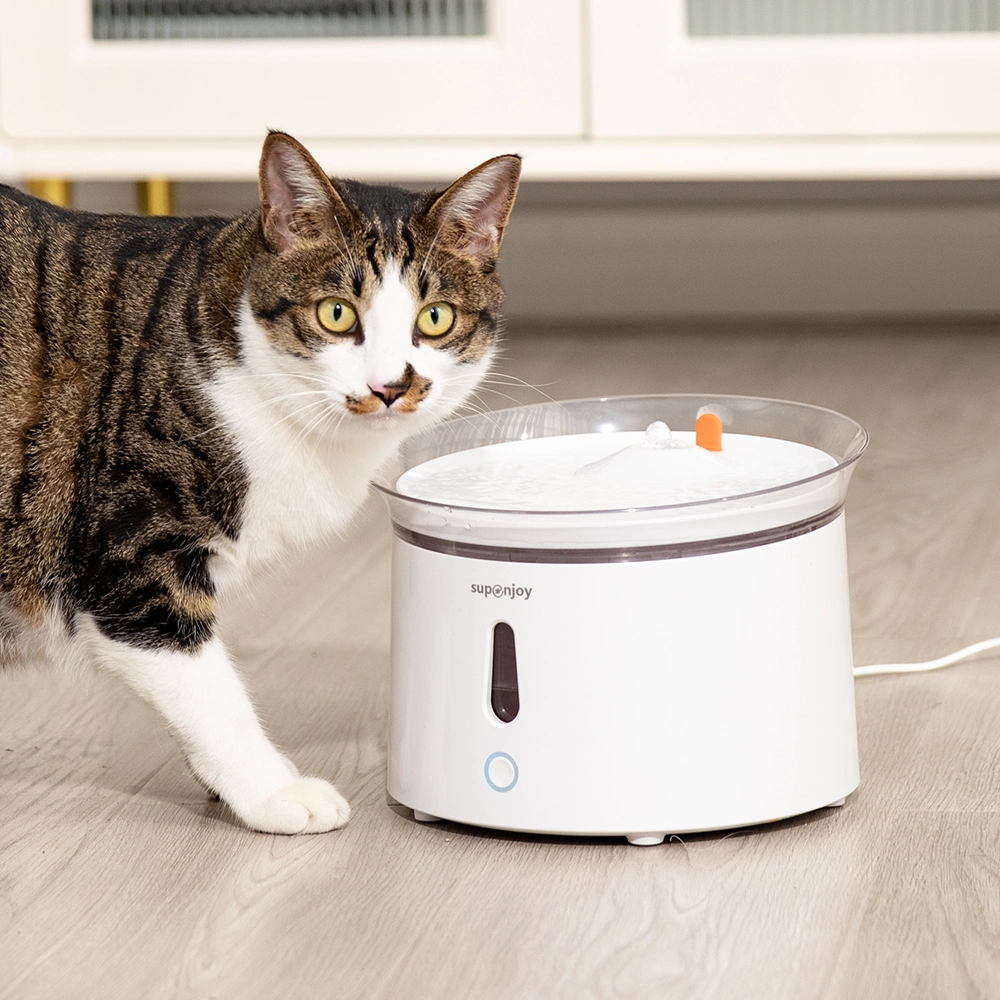 Simple Portable Food Water Drink Dispenser Automatic Pet Feeder