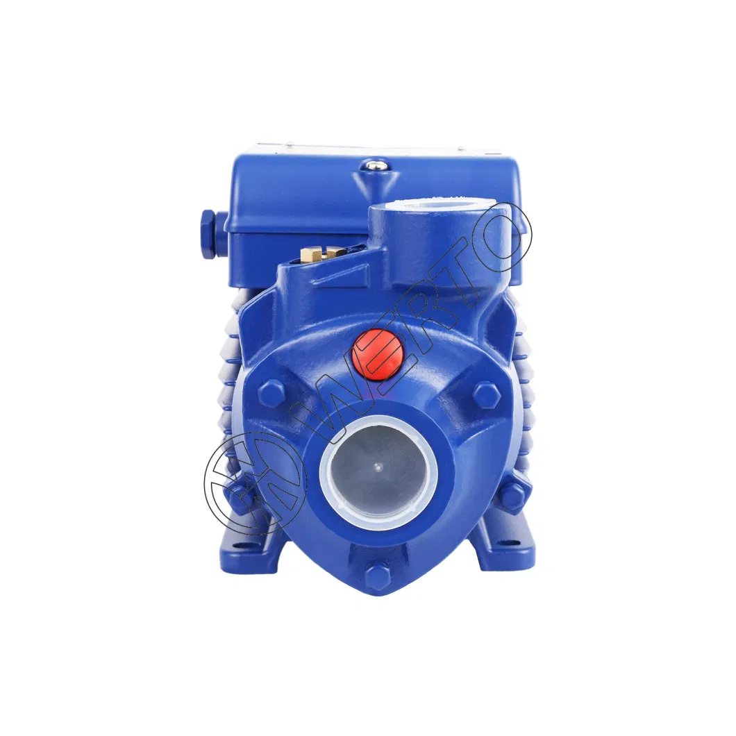 Pkm80 Domestic Use Micro Electric Peripheral Water Pump