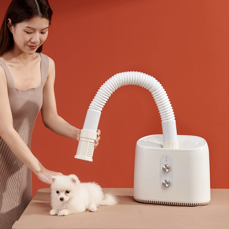 New Arrival Portable Quilt Dryer Electric Cloth Dryer Shoes Heater Pet Dryer Machine