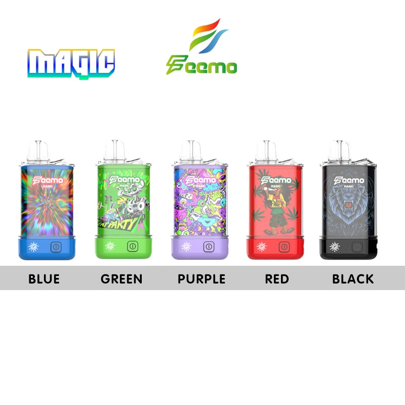 Wholesale Vape Pen 510 Thread Vape Feemo Magic E Cigarette Durable Battery Disposable Vaporizer Rechargeable Box