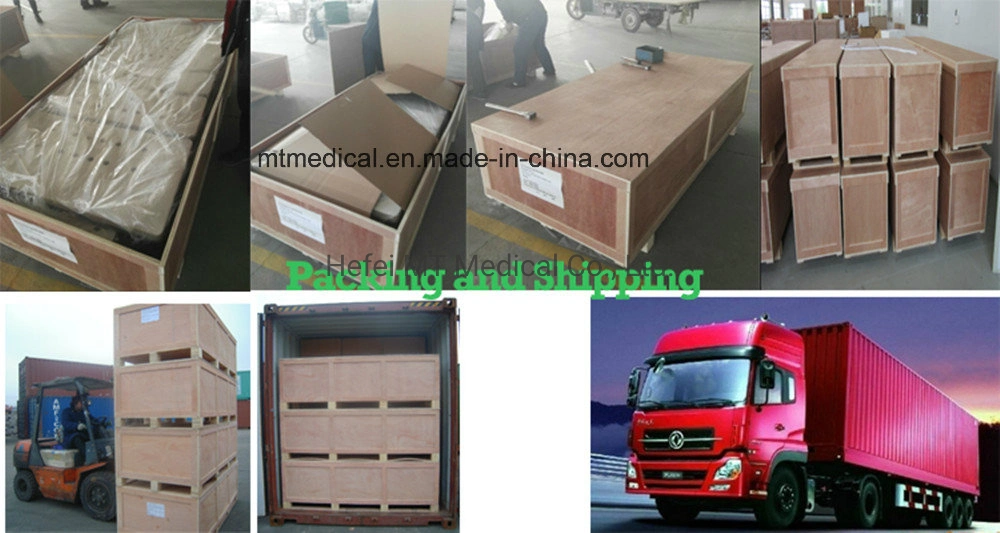 Pet Dryer Room Equipment Pet Dryer Box Dry Room Machine Automatic Cabinet Pet Cat Dog Hair Dryer Box