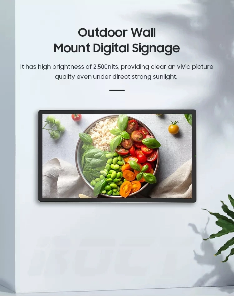 43inch Outdoor Wall Mounted LCD Advertising Display Monitor Wall