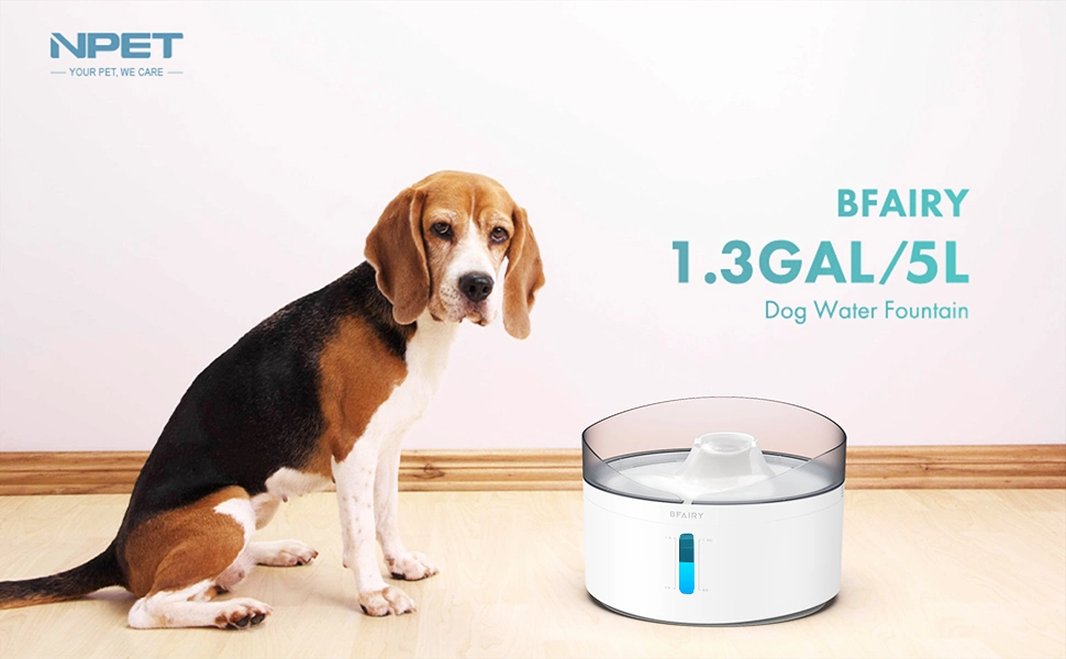 New Design Large Capacity 5L Intelligent Dog Water Fountain Automatic Pet Water Fountain with Controllable LED Water Pump