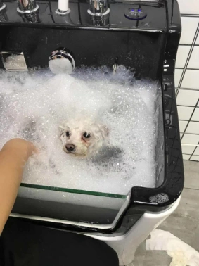 Mt Pet Beauty Equipment Dog Grooming Bathtubs Car Wash Shower Cleaning Dog SPA Bathtub