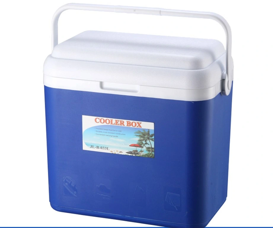 Car Refrigerator Outdoor Small Incubator Portable Car Home Medicine Cosmetics Storage