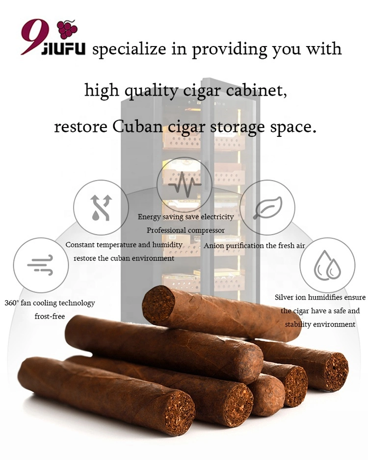 Wholesale Cigar Humidor Refrigerator High Quality Double Door Compressor Cigar Humidor Electric Cigar Humidor Humidor Fridge Refrigerator