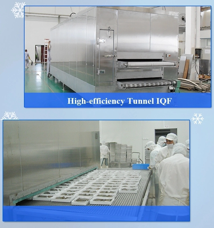 Hydraulic Contact Plate Freezer Shrimp Fish Refrigeration Contact Plate Cold Freezer