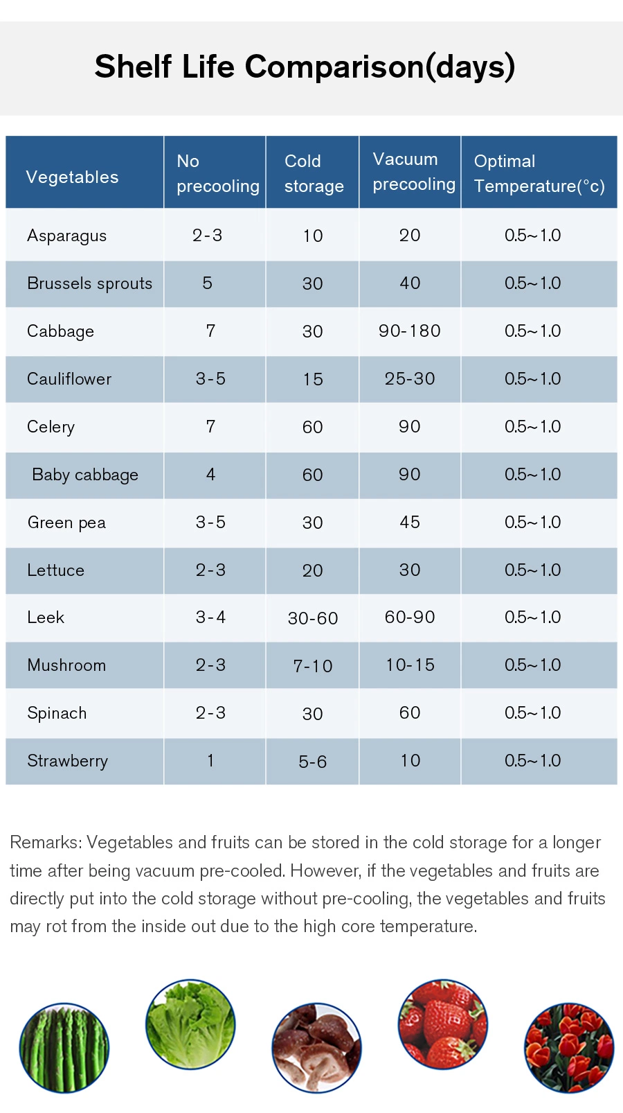 6 Pallet Vegetable Vacuum Cooler