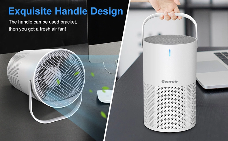 High Efficiency Portable Desktop Quiet Air Purifier H13 HEPA Inoizer Air Purifier for Office Home Hotel Usage Odor Smoke Dust Pets Eliminator