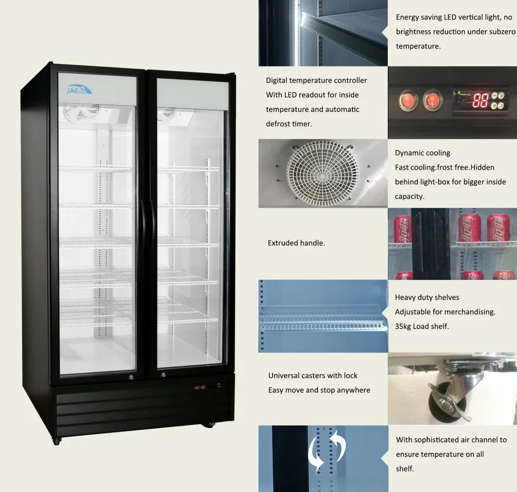 1000L Height 2020mm Wine Cooler Refrigerator for Drinks Chiller