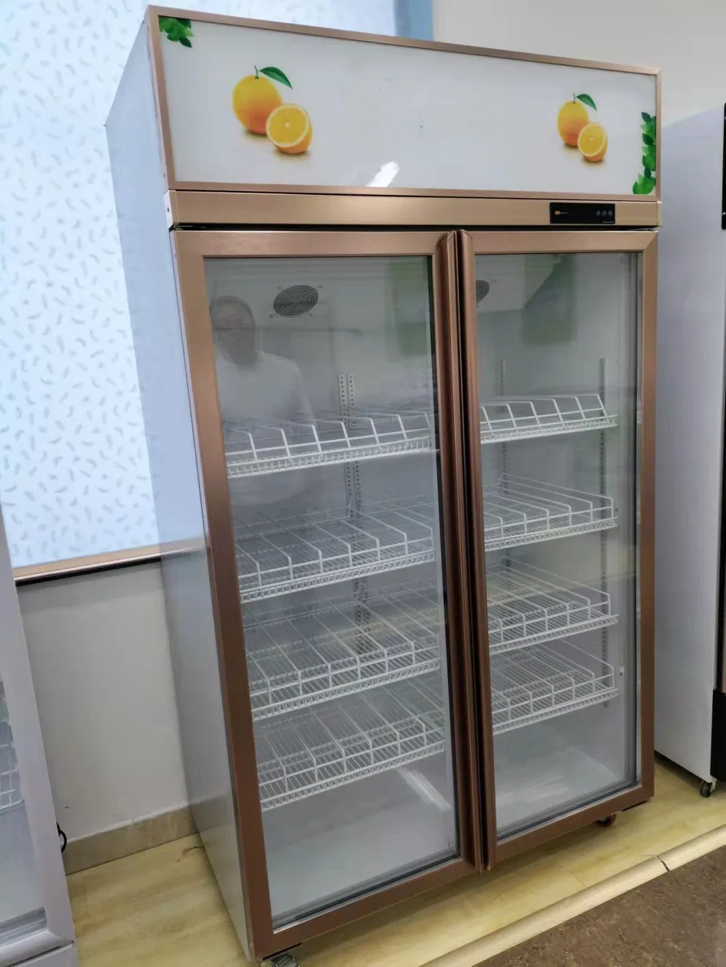 Vertical Display Cooler Beverage Storage Fridge Wine Cold Showcase Refrigerator