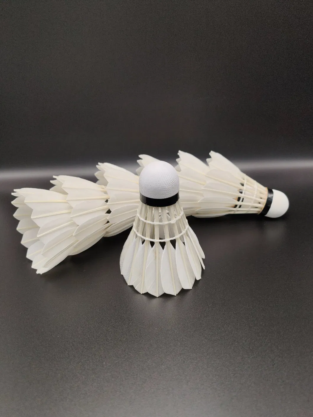 Speed 75 to 78 Straight Goose Feather Badminton Shuttlecocks for Amateur Training or Club Players Shuttlecock